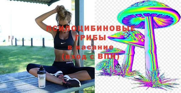 мескалин Снежногорск